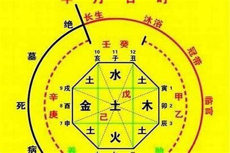 忌木|八字算命：八字忌木是什么意思